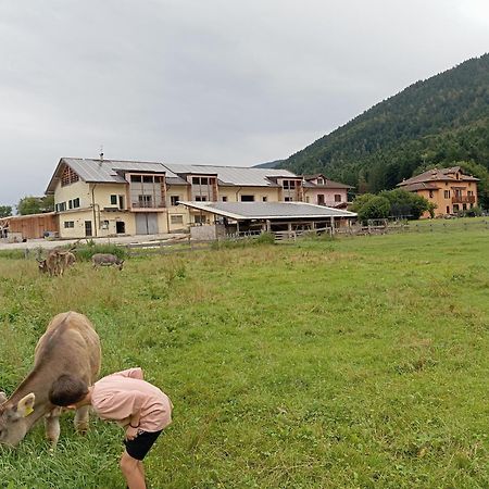 Maso Torbiera- Rural And Mountain Lodging Fiave ภายนอก รูปภาพ