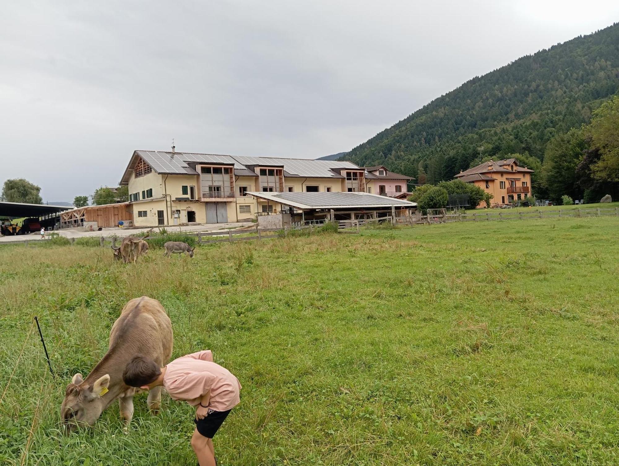 Maso Torbiera- Rural And Mountain Lodging Fiave ภายนอก รูปภาพ