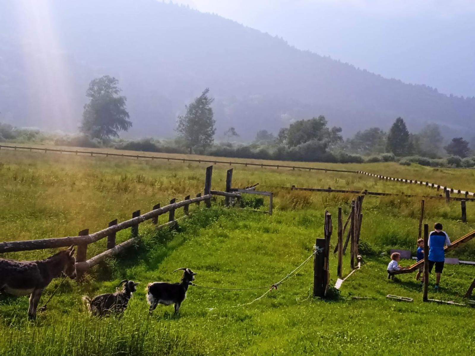 Maso Torbiera- Rural And Mountain Lodging Fiave ภายนอก รูปภาพ